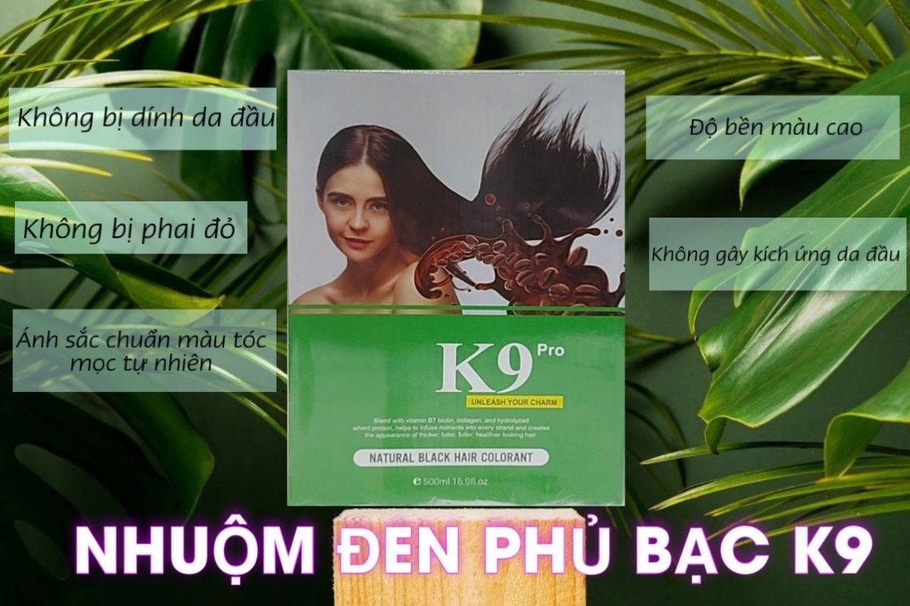 home banner