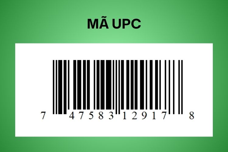 Mã UPC là gì? Cấu trúc, ứng dụng, cách tạo mã miễn phí