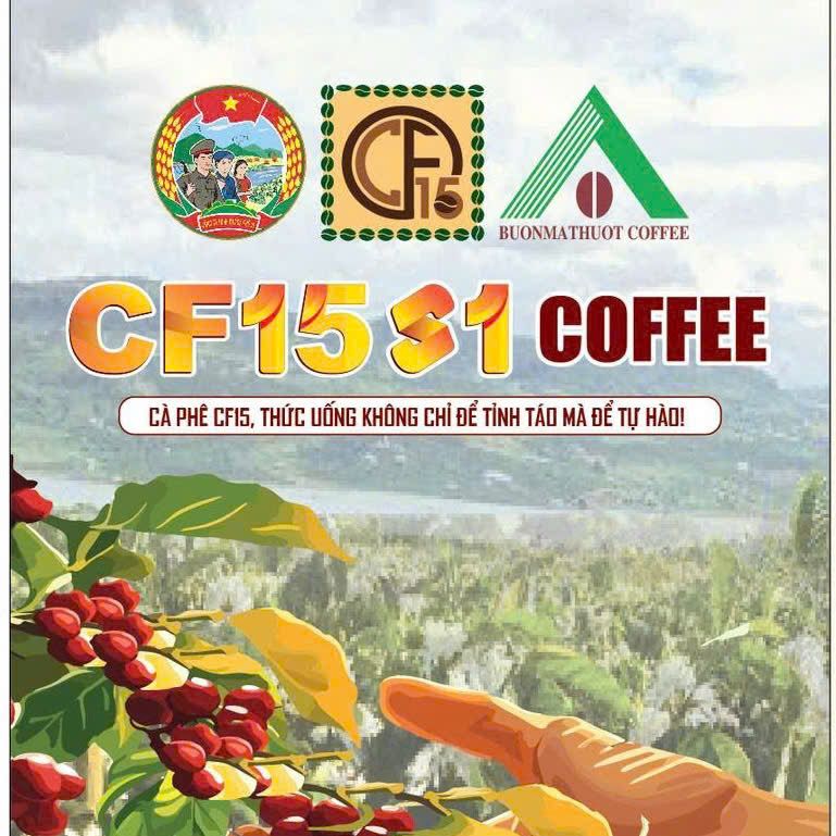 home banner
